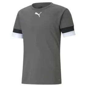 Jersey Puma Team Rise