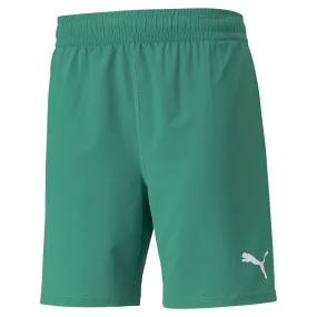 Puma teamFINAL Shorts