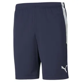 Puma TEAMLIGA TRAINING SHORTS